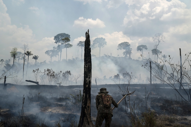 Φωτιές στον Αμαζόνιο: Επτά χώρες υπέγραψαν σύμφωνο για την προστασία του δάσους