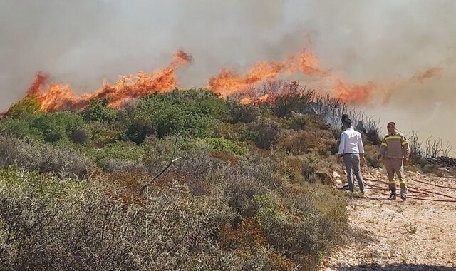 Σε ύφεση η φωτιά στην Ζάκυνθο – Καλύτερη εικόνα στην Θεσπρωτία