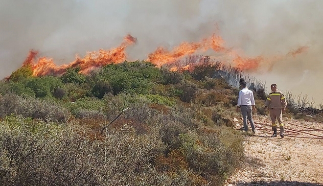 Σε ύφεση η φωτιά στην Ζάκυνθο – Καλύτερη εικόνα στην Θεσπρωτία