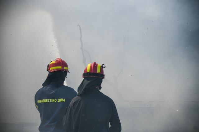 Φωτιά σε δασική έκταση στην Αρκαδία