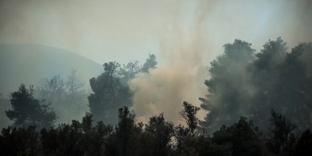 Σε εξέλιξη φωτιές στην Σιθωνία Χαλκιδικής και στο Γύθειο Λακωνίας