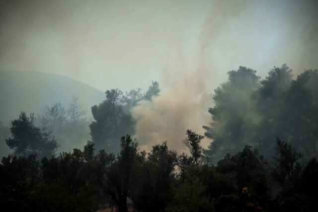 Σε εξέλιξη φωτιές στην Σιθωνία Χαλκιδικής και στο Γύθειο Λακωνίας