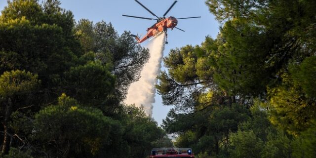Ενισχύθηκαν οι δυνάμεις στην φωτιά που έχει ξεσπάσει στην Κάρυστο