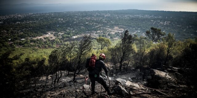 Διάσπαρτες μικροεστίες χωρίς ενιαίο ενεργό μέτωπο στη Νέα Μάκρη