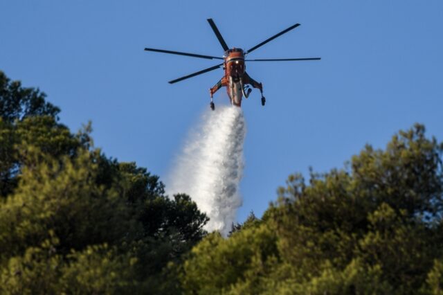 Σε ύφεση και οριοθετημένη η φωτιά στη Νέα Μάκρη