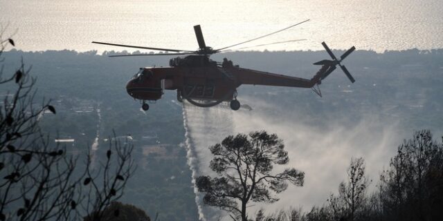 Φωτιά στη Νέα Μάκρη: Ενδείξεις για εμπρησμό