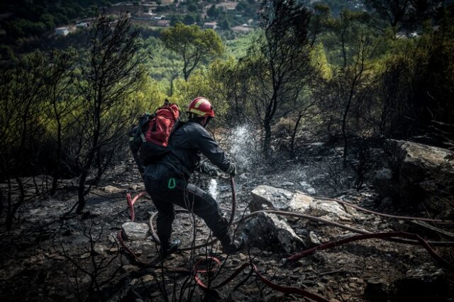 Ρόδος: Φωτιά σε δασική περιοχή της Κοινότητας Πλατανίων