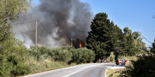Πυροσβεστική: 68 φωτιές σε όλη την επικράτεια μέσα σε ένα 24ωρο