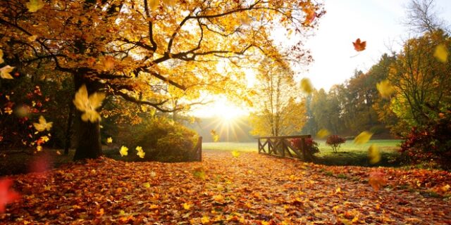 Φθινόπωρο επίσημα από σήμερα – Σιγά σιγά μικραίνει η μέρα