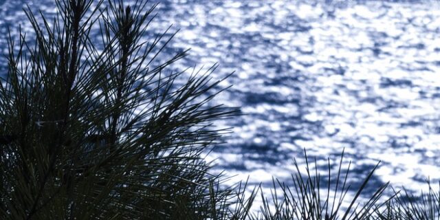 Καιρός: Άνοδος της θερμοκρασίας μέχρι τη Δευτέρα – Βροχές από Τρίτη