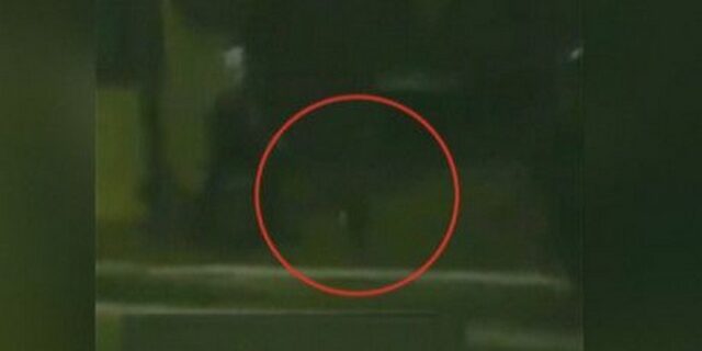 Εικόνες ντροπής σε ελληνικό στρατόπεδο: Σμηνίτης κλωτσά γάτα