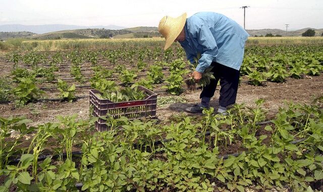 Μια δίαιτα vegan θα έκανε καλό στο κλίμα