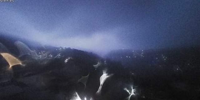 Κακοκαιρία: Η ραγδαία βροχόπτωση στην Άνδρο