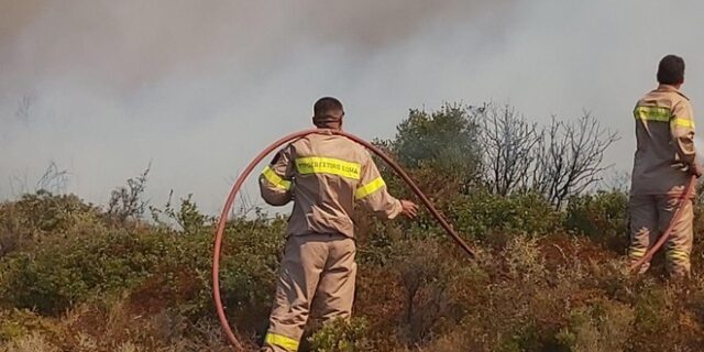Φωτιά σε δασική έκταση στα Άγραφα Ευρυτανίας