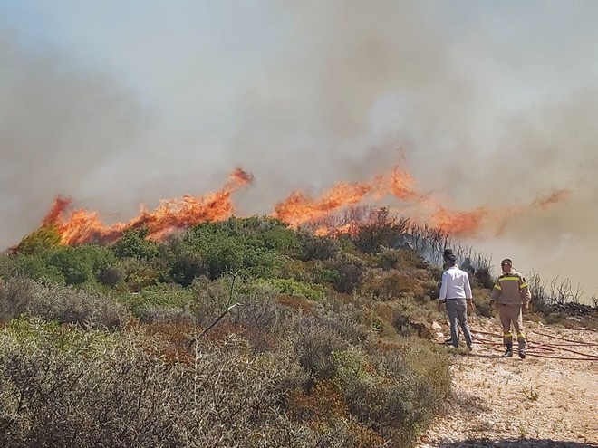 Υπό έλεγχο τέθηκε η φωτιά στην Τροιζηνία