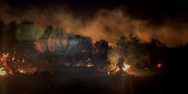 Φωτιά στο Πόρτο Ράφτη: Ολονύχτια μάχη με τις φλόγες – Απομακρύνθηκαν κάτοικοι
