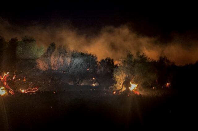 Φωτιά στο Πόρτο Ράφτη: Ολονύχτια μάχη με τις φλόγες – Απομακρύνθηκαν κάτοικοι