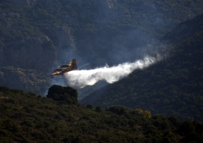 Ζάκυνθος: Φωτιά σε δασική έκταση