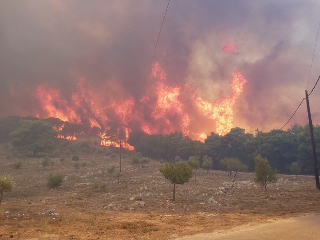 Πυροσβεστική: 63 φωτιές σε ένα 24ωρο – Σε εξέλιξη οι εστίες σε Κεχριές, και Άγιο Νικόλαο