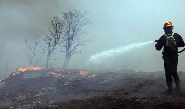 Φωτιά στον Βαρνάβα: Ένα πτηνό ευθύνεται για την πρόκλησή της
