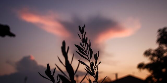 Καιρός: Ηλιοφάνεια και το Σάββατο – Βοριάδες στο Αιγαίο