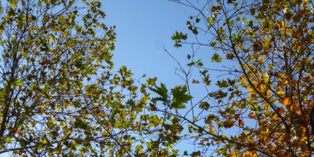 Σχεδόν αίθριος καιρός στις περισσότερες περιοχές την Τετάρτη – Το βράδυ βροχές στα ΒΔ