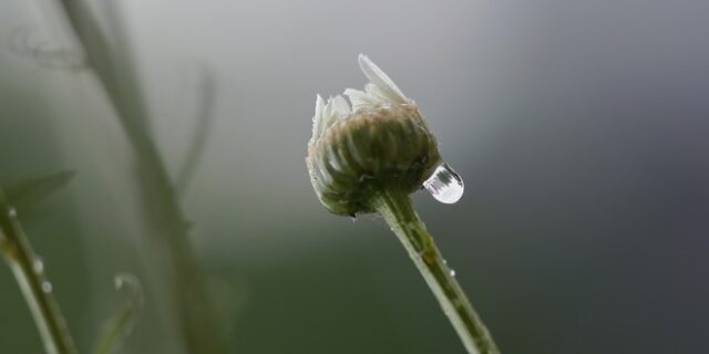 Καιρός: Τοπικές βροχές σήμερα – Ανεβαίνει η θερμοκρασία τις επόμενες μέρες