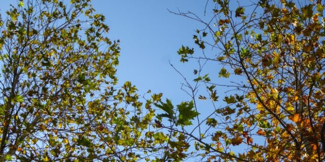 Βελτιωμένος καιρός στις περισσότερες περιοχές – Άνοδος της θερμοκρασίας