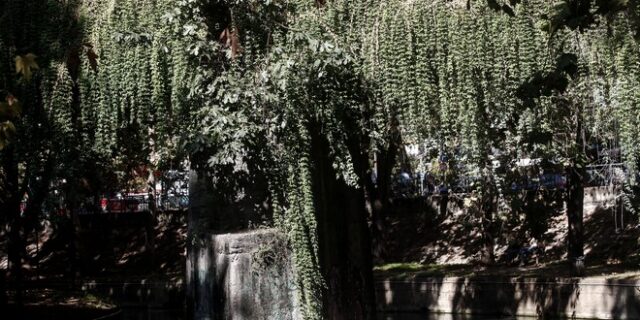 Σχεδόν αίθριος καιρός με ομίχλες το πρωί της Δευτέρας και ενίσχυση ανέμων στο Αιγαίο