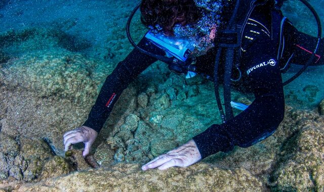Έρχονται τα πρώτα υποβρύχια μουσεία στην Ελλάδα – Πού θα ανοίξουν