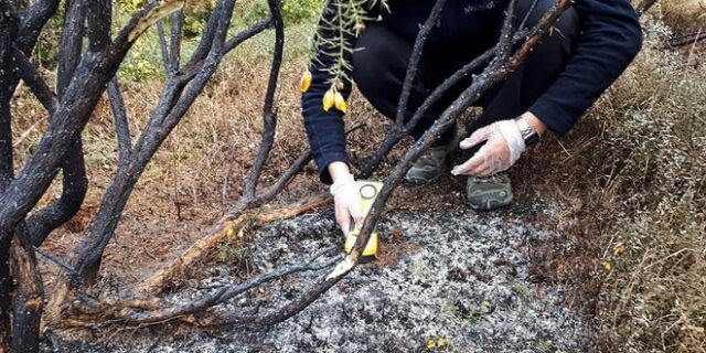 Μυστηριώδεις “πύρινες μπάλες” έπεσαν στη Γη – Και δεν είναι μετεωρίτες