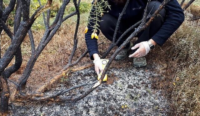 Μυστηριώδεις “πύρινες μπάλες” έπεσαν στη Γη – Και δεν είναι μετεωρίτες