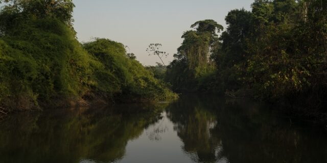 Επέλαση Μπολσονάρο στον Αμαζόνιο: Επέτρεψε την καλλιέργεια ζαχαροκάλαμου