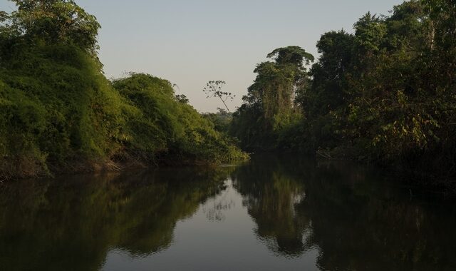 Επέλαση Μπολσονάρο στον Αμαζόνιο: Επέτρεψε την καλλιέργεια ζαχαροκάλαμου