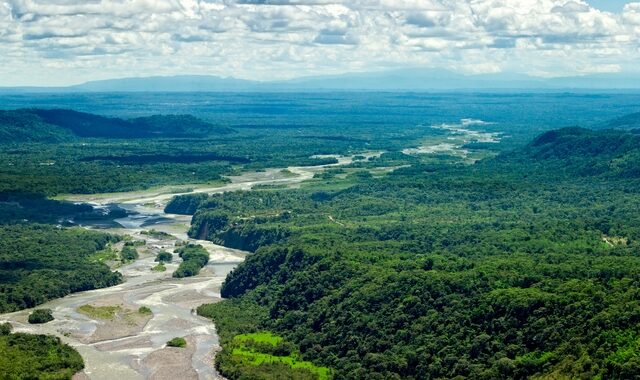 Έγκλημα στον Αμαζόνιο: Χάνεται το τροπικό δάσος