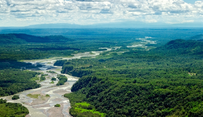 Έγκλημα στον Αμαζόνιο: Χάνεται το τροπικό δάσος