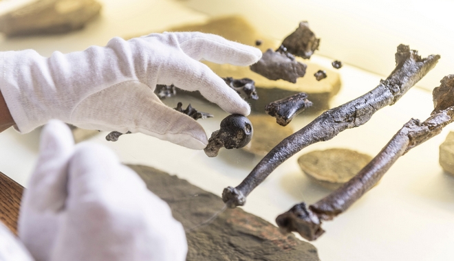 Γερμανία: Ανακαλύφθηκαν οστά του πρώτου πιθήκου που περπάτησε όρθιος