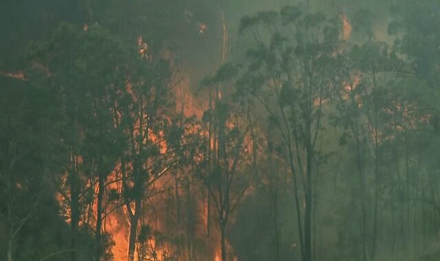 Αυστραλία: Αυξάνεται ο αριθμός των νεκρών από τις φωτιές