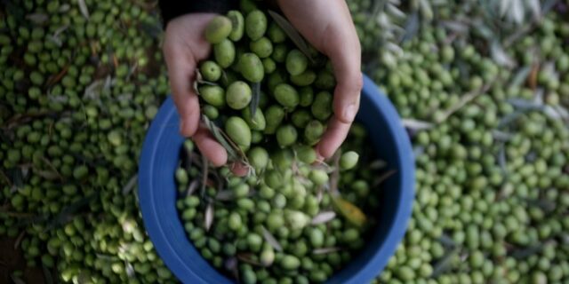 Ανοίγει ο δρόμος για μεγαλύτερες εξαγωγές ελληνικών προϊόντων στην Ασία