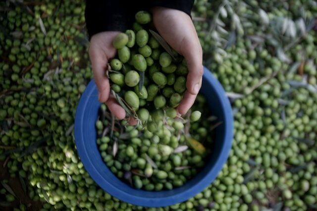 Ανοίγει ο δρόμος για μεγαλύτερες εξαγωγές ελληνικών προϊόντων στην Ασία