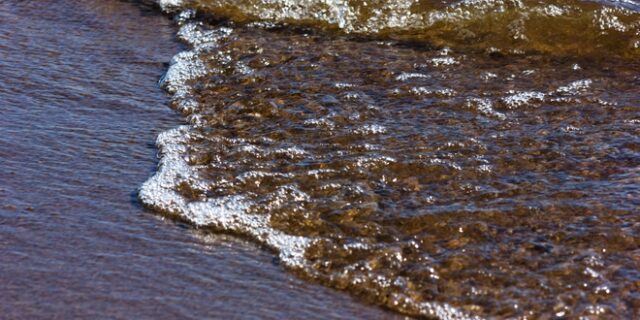 Σπάνιο φαινόμενο: Χιλιάδες “παγωμένα αυγά” βρέθηκαν σε παραλία της Φιλανδίας