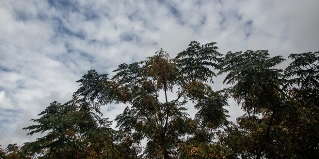 Καιρός: Έρχεται διπλό κύμα βροχοπτώσεων