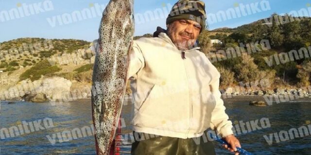 Κρήτη: Ψαράς έπιασε λαγοκέφαλο 10 κιλών στη Βιάννο