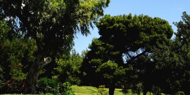 Πάρκο Ελευθερίας: Ο διαλογισμός τους οδήγησε στο τμήμα – Το πρωτόγνωρο περιστατικό και ο λόγος των προσαγωγών