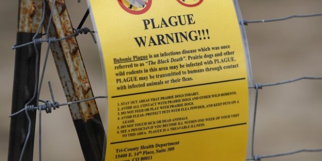 Μαύρη πανώλη, η επιστροφή: Δεκάδες σε καραντίνα στην Κίνα, παγκόσμιος συναγερμός