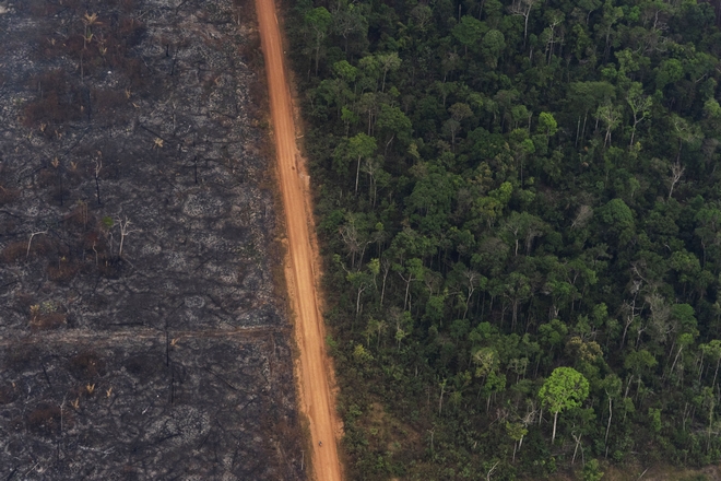Βραζιλία: Ραγδαία αύξηση των πυρκαγιών στον Αμαζόνιο