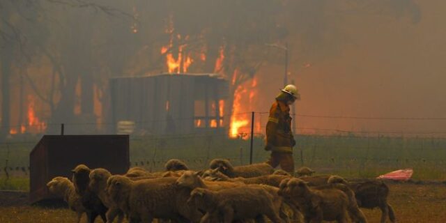 Αυστραλία: Κόλαση φωτιάς στη Νέα Νότια Ουαλία, ένας νεκρός