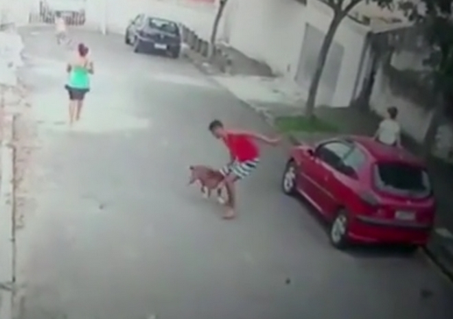 Βίντεο που κόβει την ανάσα: Ήρωας σώζει τον 4χρονο γιο του από επίθεση Pitbull