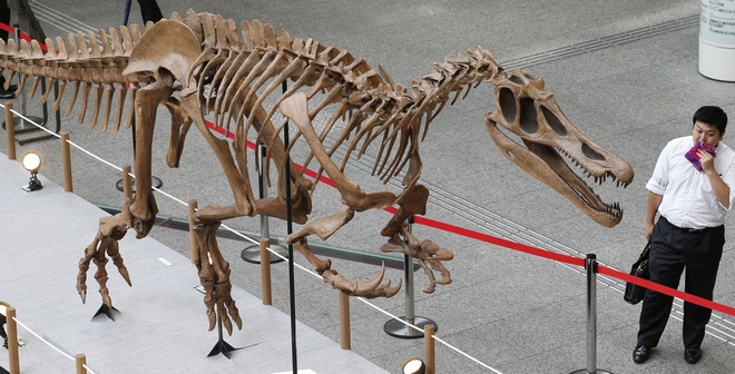 Έρευνα – ανατροπή: Οι δεινόσαυροι εξαφανίστηκαν επειδή δηλητηριάστηκαν