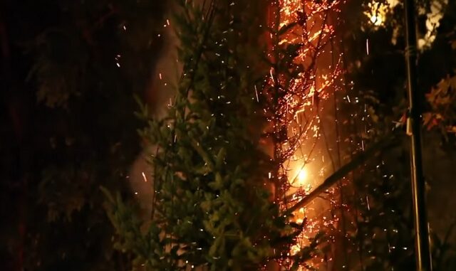 Καρέ-καρέ: Έκαψαν το δέντρο στα Εξάρχεια
